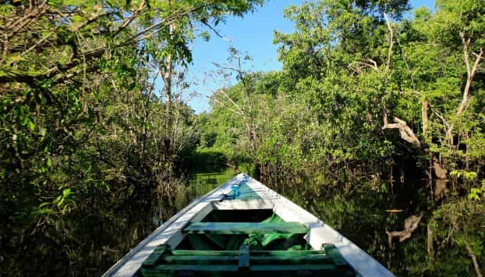 Islands Cruise