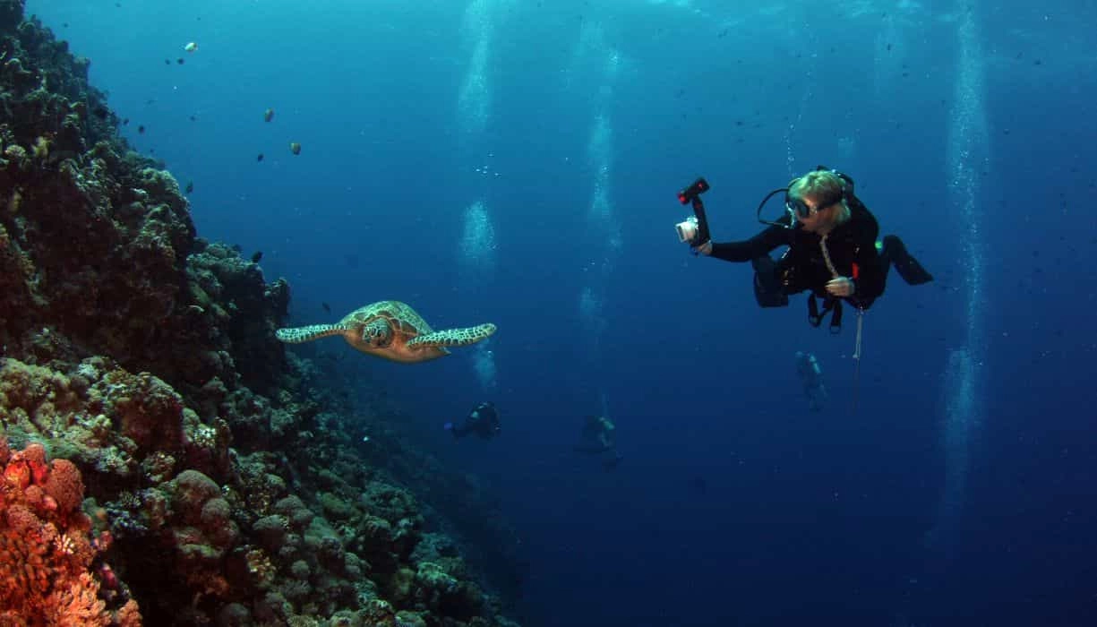 Scuba Diving