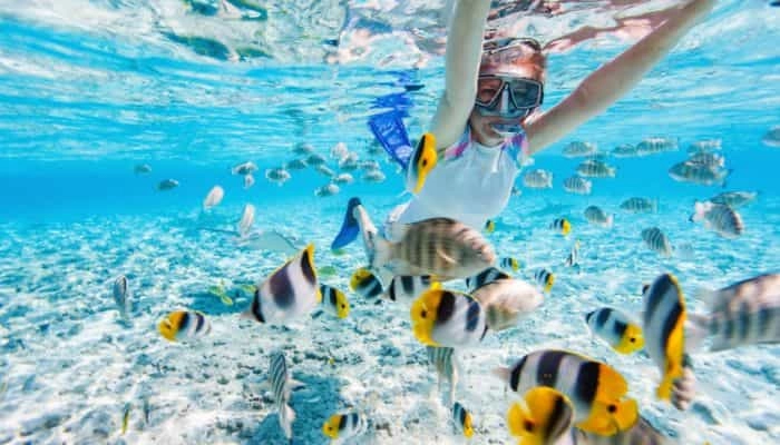 Top 5 Snorkeling Spots